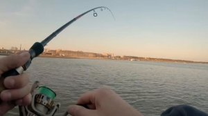 Судак весной на джиг. Ловля судака с берега | #порыбачим