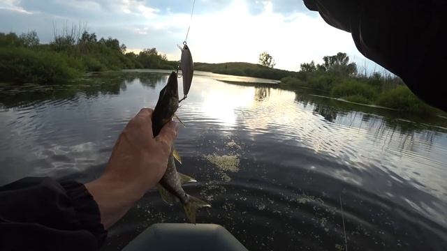 Рыбалка вечером на пруду. Рыбалка летом на воблеры. Рыбалка на спиннинг в июле 2018. смотреть онлайн