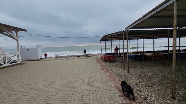 21 ноября. Архипо-Осиповка смотреть онлайн