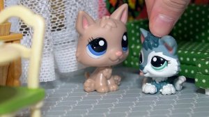 LPS: ВОВОЧКА и его РОДИТЕЛИ ( смешные моменты)