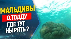 ✈️⛵️Что будет с вами если вы займетесь фридайвингом на Мальдивах ?