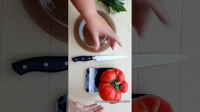 КИ ЛЕБЕДЯ (KY Cygni) ? #помидоры #подкормки #dwarf #томаты #огород #москва #сад #огурцы смотреть онлайн