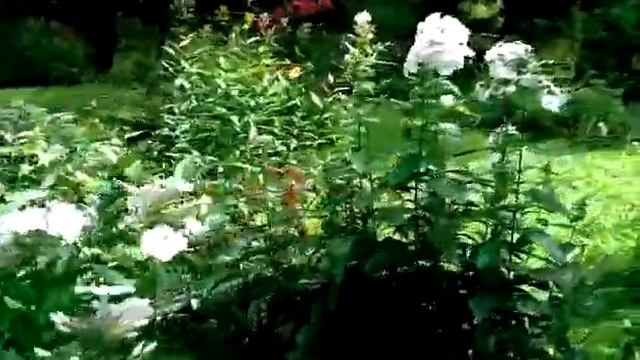 28 ноября 2020 г. смотреть онлайн