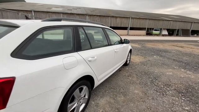 Skoda Octavia White 13 смотреть онлайн
