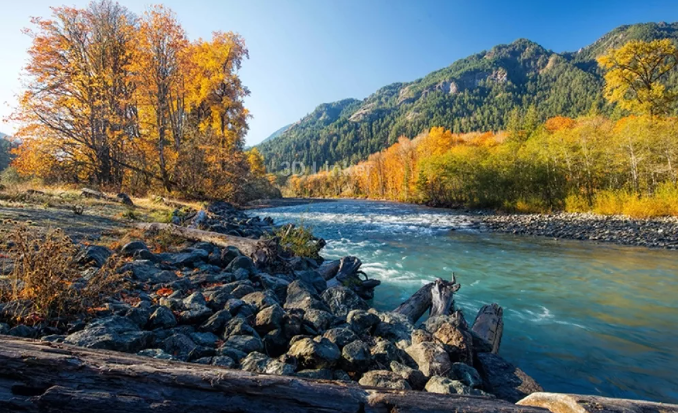 Релакс рай Японии, один час на природе под шум воды и щебетание птиц✦ релакс ✦ relax смотреть онлайн