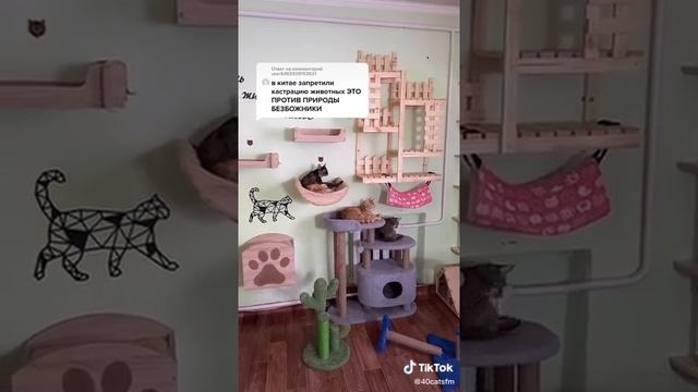 Стерилизация животных. Необходимость или нет? смотреть онлайн