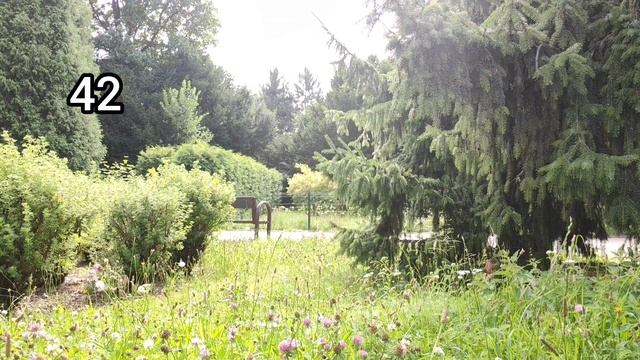 Мантра-молитва Хоопонопоно ??#медитаціяукраїнською #медитація смотреть онлайн