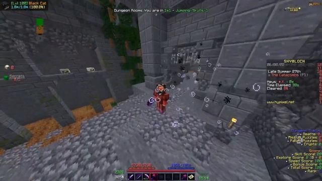 Моды которые ты ОБЯЗАН установить | Hypixel SkyBlock | Хайпиксель скайблок смотреть онлайн