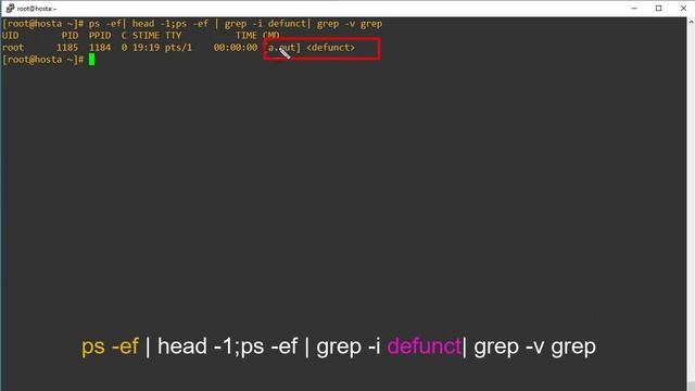 How to Identify and Kill Zombie/Defunct Processes in Linux (#Linux #Interview #Question) смотреть онлайн