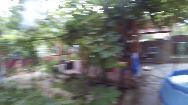 Когда дома скучно смотреть онлайн
