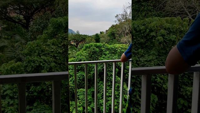 Отель Centra By Centara Phu Pano Аонанг Краби Таиланд