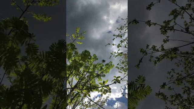 Небо в тучах #медитация #природа #мойдзен смотреть онлайн