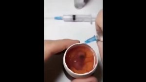 Как вырастить цыплёнка из вскрытого яйца