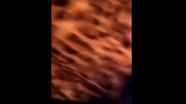 К МЕЛСТРОЮ ПРИЕХАЛА ПОЛИЦИЯ И СКОРАЯ ПОСЛЕ ИЗБИЕНИЯ ДЕВУШКИ смотреть онлайн