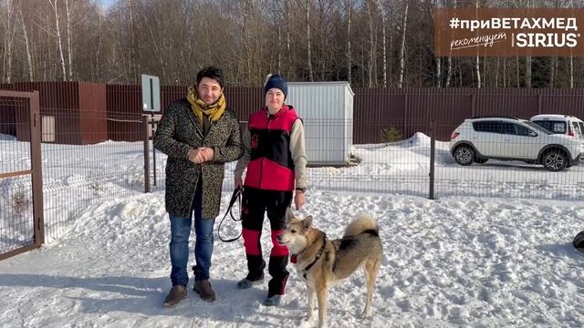 Что такое ноузворк // #ПриВЕТАхмед смотреть онлайн