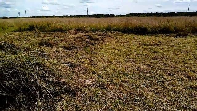 Освоение Новгородской земли Ч 8. Да будет свет! смотреть онлайн