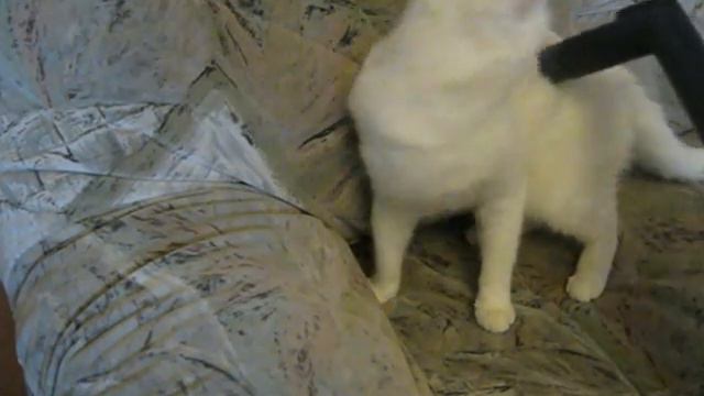 Чистота - залог здоровья смотреть онлайн