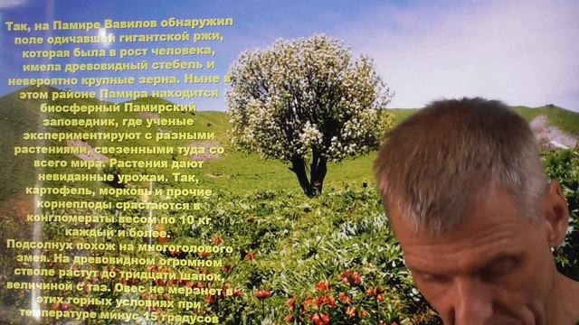 Как люди произошли от инопланетян? Александр Белов 13 08 2021 г. смотреть онлайн