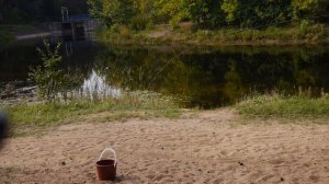 Удочка на боковой кивок Mifine Metalica Pole 800 crash test Краш тест удилища максимальная нагрузка