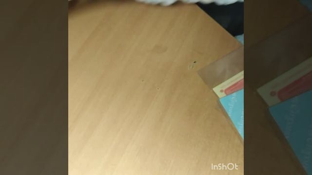 Новогодние игрушки. смотреть онлайн