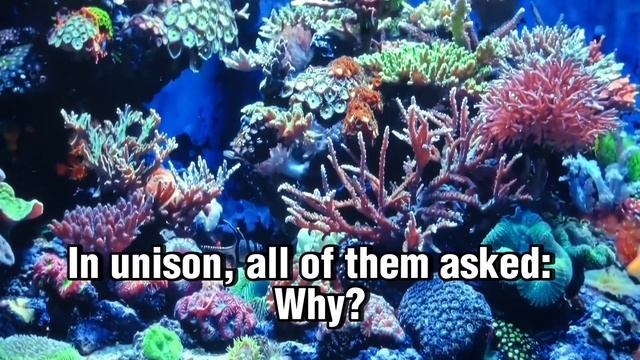 Windows of the Heart | Chapter 71: It Takes Two to Tango | Novel | Audiobook смотреть онлайн