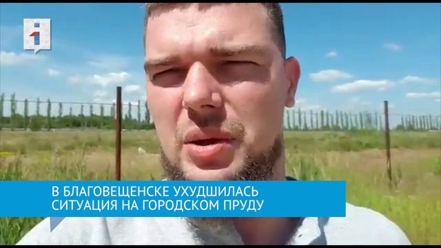 В Благовещенске ухудшилась ситуацию с городским прудом: он заполонен мертвой рыбой смотреть онлайн