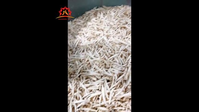 vacuum fried Pleurotus Eryngii chips fryer смотреть онлайн