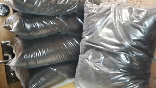 Биогумус, созданный червями дендробена. Небольшой обзор биогумуса