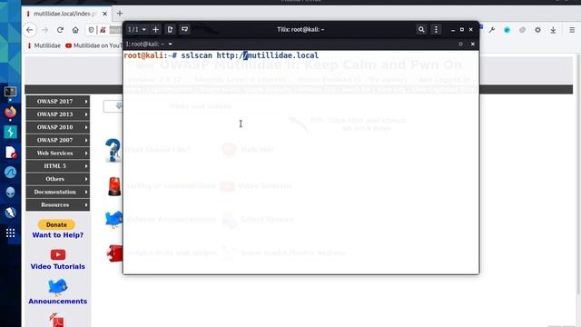 SSLScan: Part 1 - How to test HTTPS, TLS, & SSL ciphers смотреть онлайн