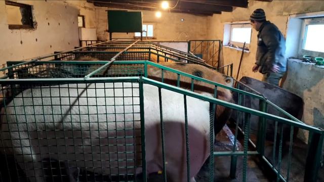 готовлюсь, ставлю по местам, дроблю с запасом смотреть онлайн
