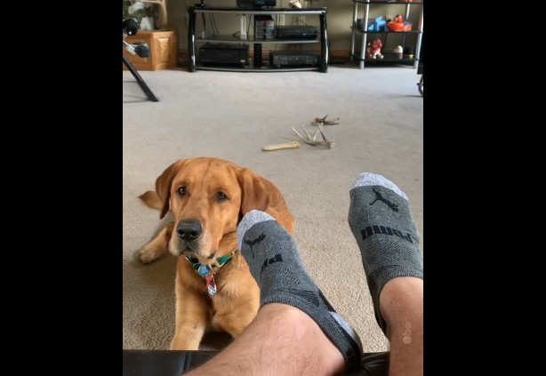 Сними, мои вонючие носки! смотреть онлайн