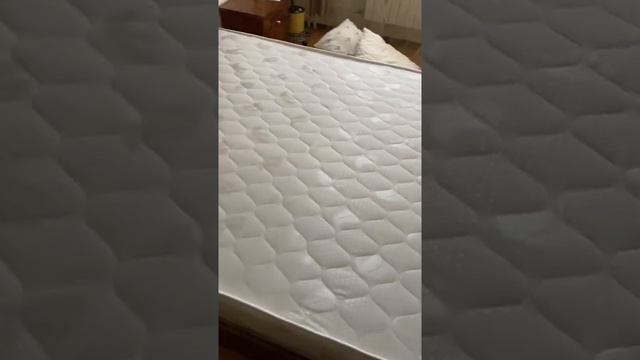 Отзыв о матрасе Dimax Оптима Премиум 3 120*200 и магазине «Анатомия сна» смотреть онлайн