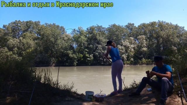 #рыбалка #рыбалка2020 #рыбалкавКраснодарскомкрае Троицкий сазан смотреть онлайн