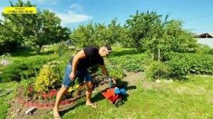 Новинка! Видеообзор Электрического Измельчителя Веток Draxter 250 Мини