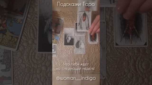 Подсказки Таро на ближайшую неделю смотреть онлайн