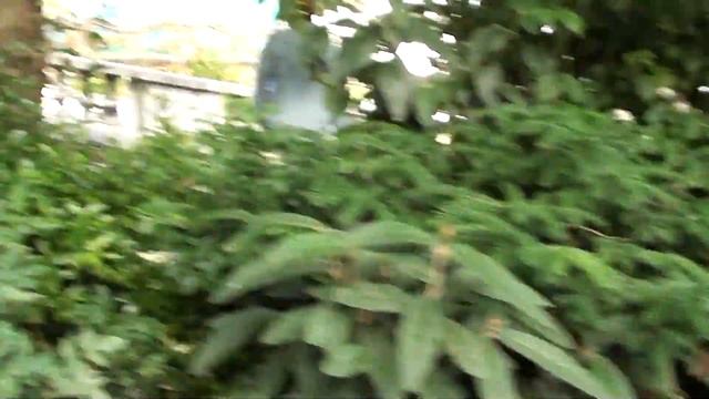 Автобусный тур 