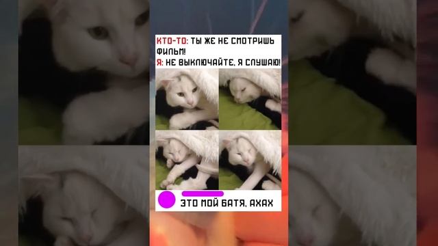 #short #shorts #мем #мемы #прикол #юмор #funny (12) смотреть онлайн