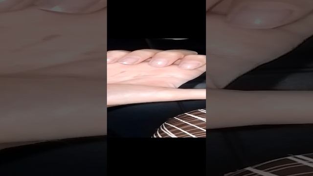пранкони своего питомца смотреть онлайн