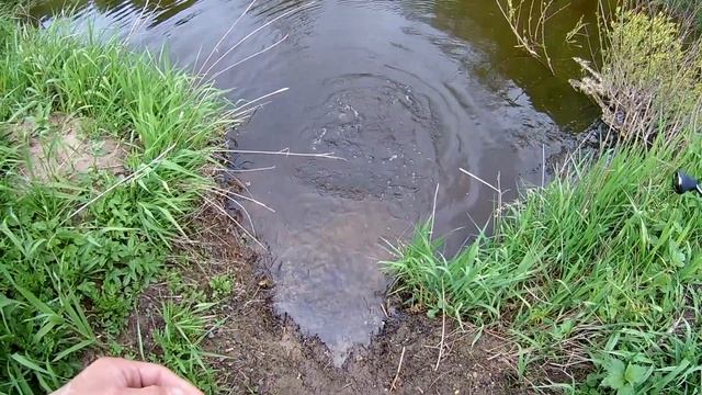 Мормышинг и наноджиг В МАЛЕНЬКОЙ РЕЧКЕ или ЯЗЬ РЫБА МОЕЙ МЕЧТЫ! смотреть онлайн