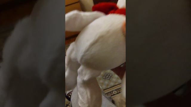 жуткий хеллоуин на новогоднюю ночь 🌃🌃🌃🌃🌃🌃 смотреть онлайн