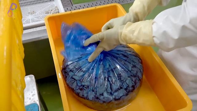 Produces 10 Tons of Oysters per Day. Seafood Mass Production Plant in Korea смотреть онлайн