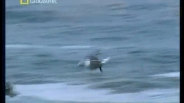 Море клип смотреть онлайн