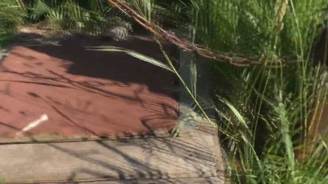 Как искать вещи по моему методу!