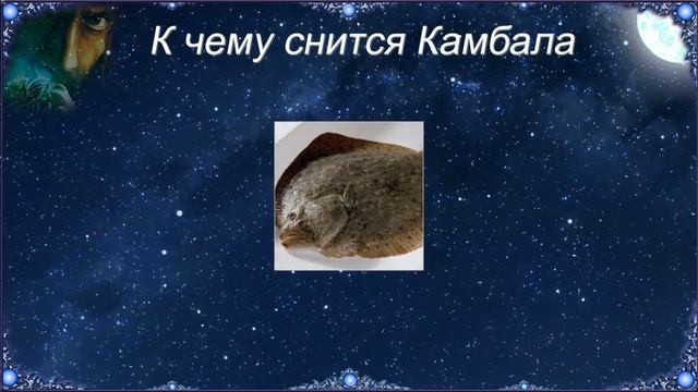 К чему снится Камбала (Сонник) смотреть онлайн