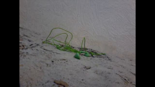 Обзор посылки из Китая наушники (зелёные) за 0.87$ !!! смотреть онлайн