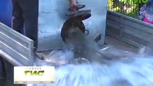 Г.И.С. людям. Озеро в парке Металлургов смотреть онлайн