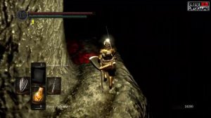 СКЛЕП ВЕЛИКАНОВ И НИТО ПОВЕЛИТЕЛЬ МОГИЛ ▷ Dark Souls Remastered #29