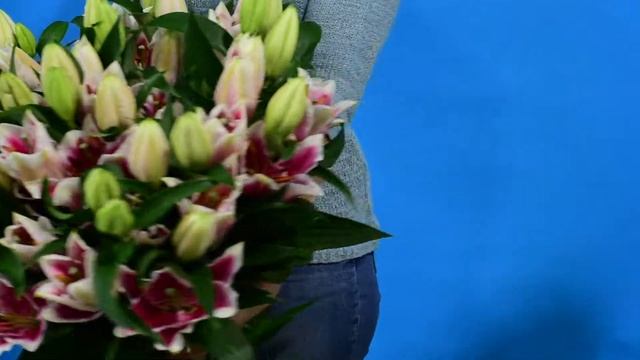 Букет из королевской лилии смотреть онлайн