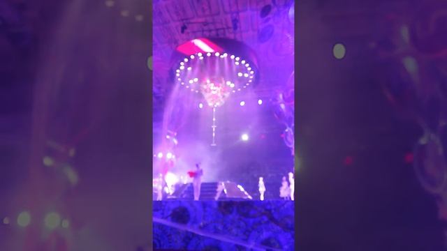 Елка Деда Мороза смотреть онлайн