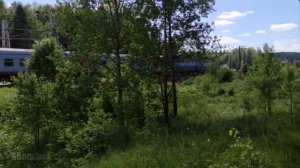 Куда идём, куда бежим по жизни этой...